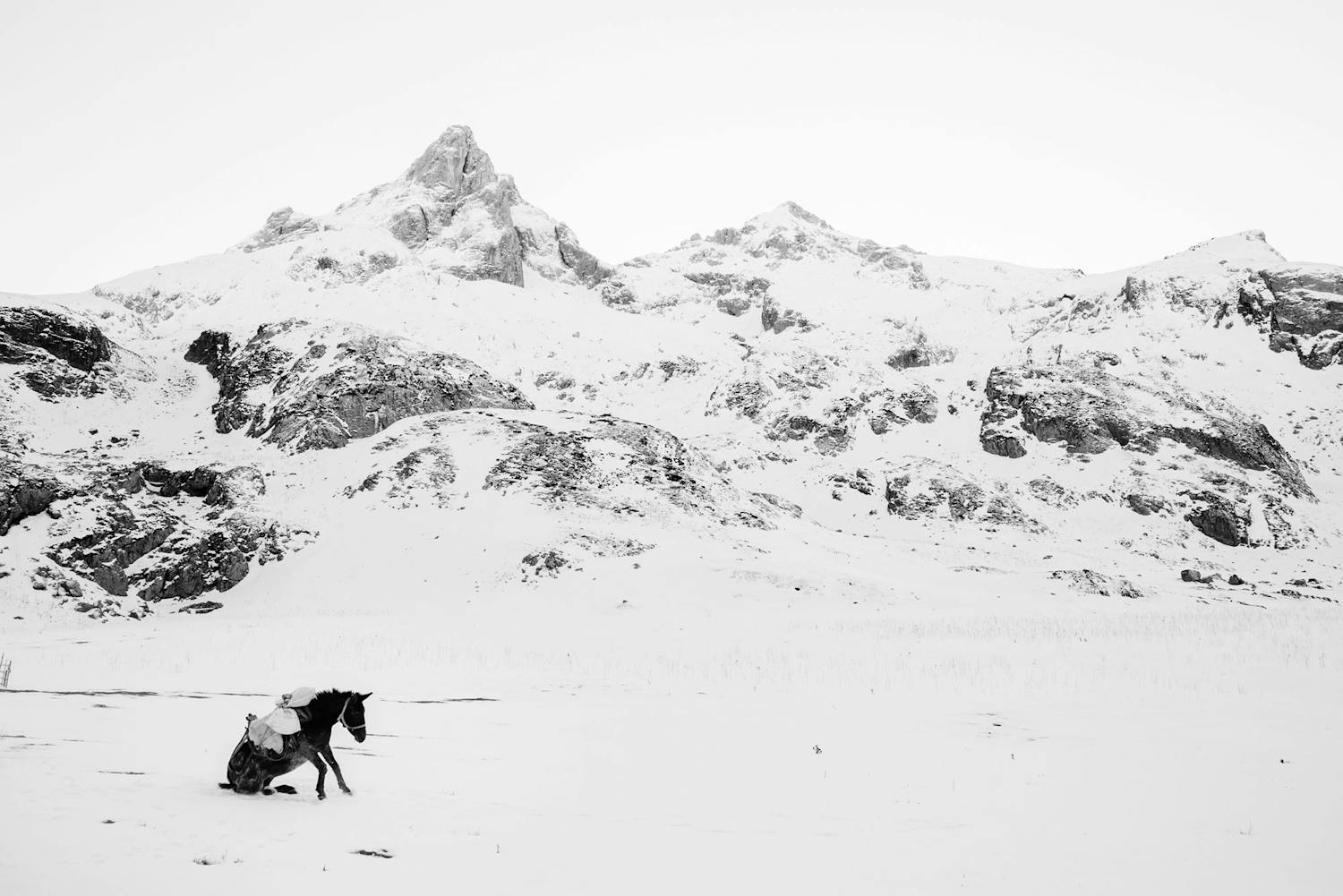 Beste bildeserie 2017 Frederik Buyckx hovedvinner av Sony World Photography Awards 2017